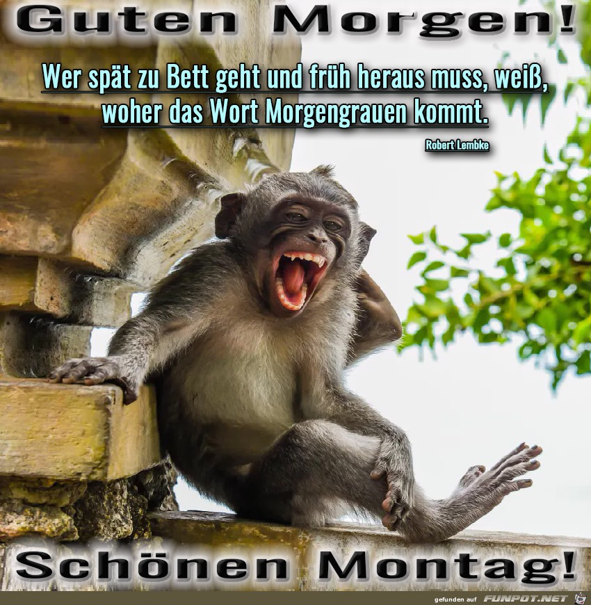 Einen Schönen Montag-Morgen Wünsch Ich Dir!