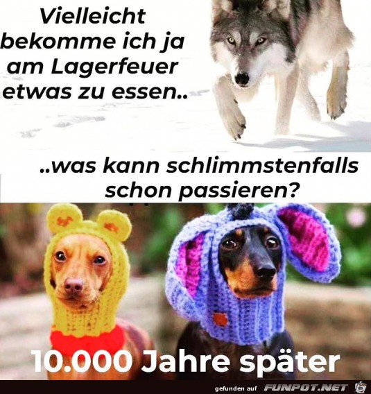 So ndern sich die Zeiten