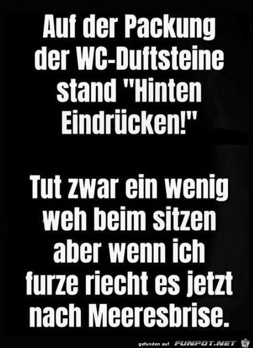 WC Duftsteine