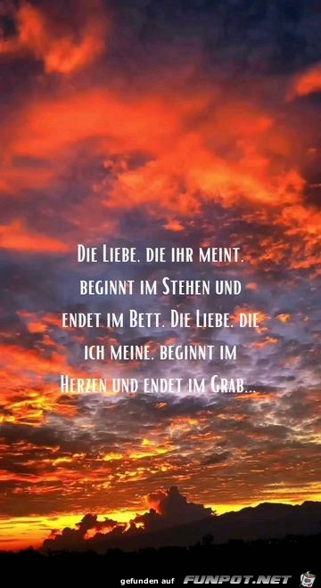 Die Liebe die ihr meint