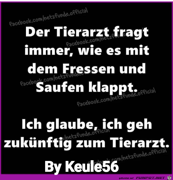 Der Tierarzt