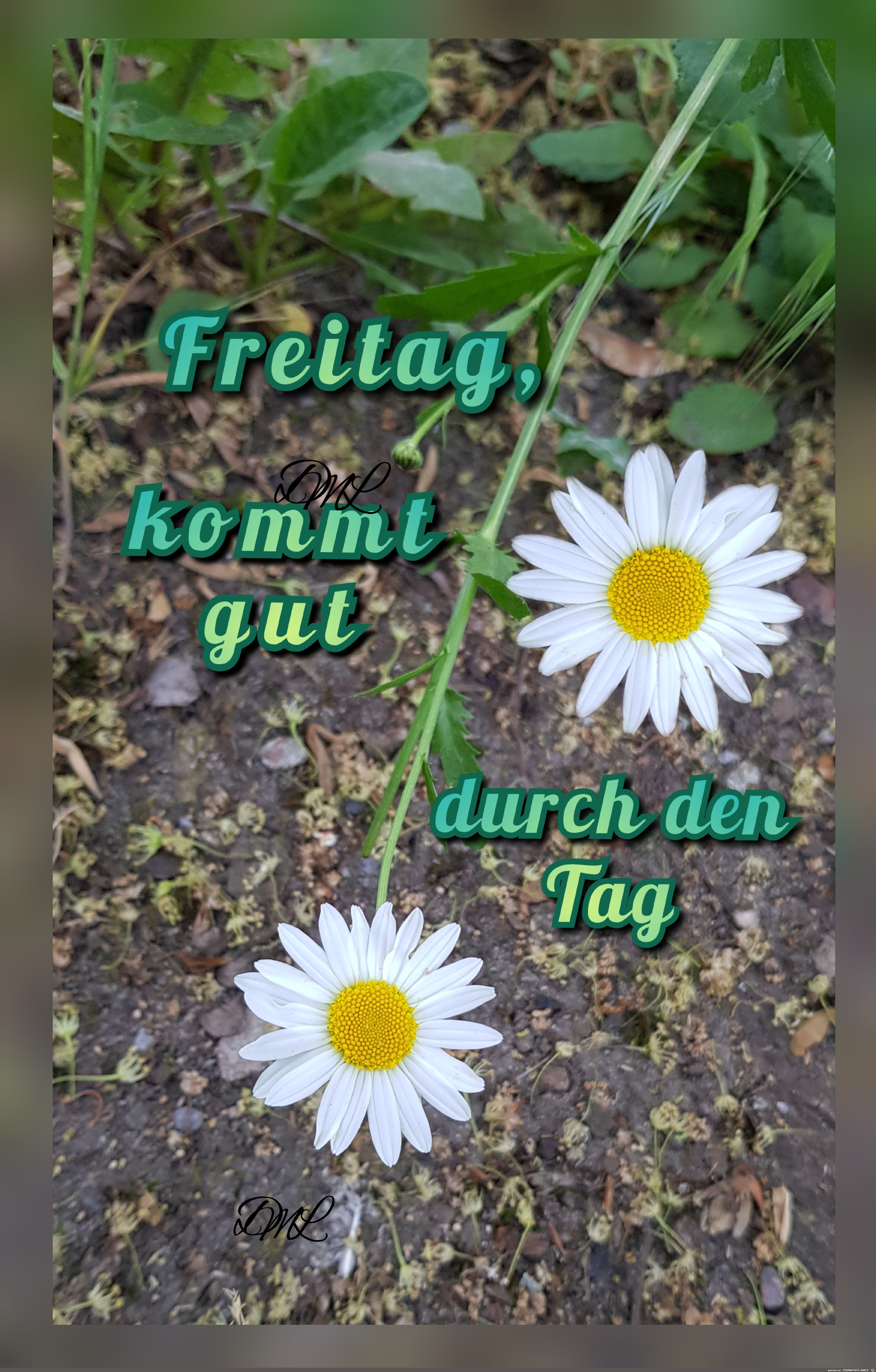 Freitag 