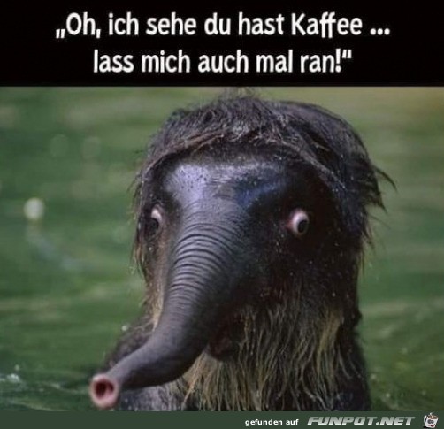 Ich will auch Kaffee