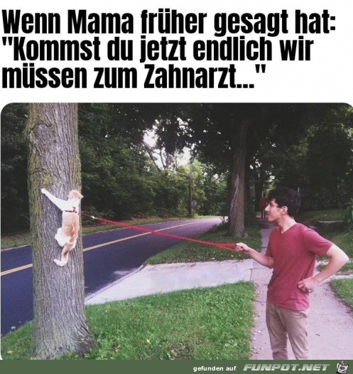 Komm jetzt