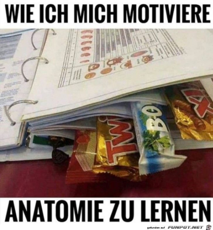 Coole Motivation