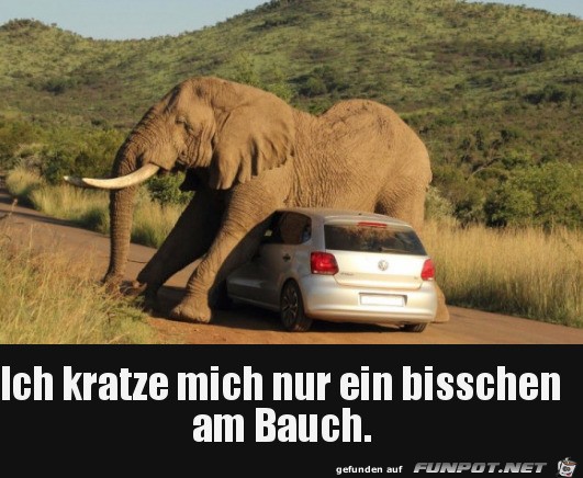 Am Bauch kratzen