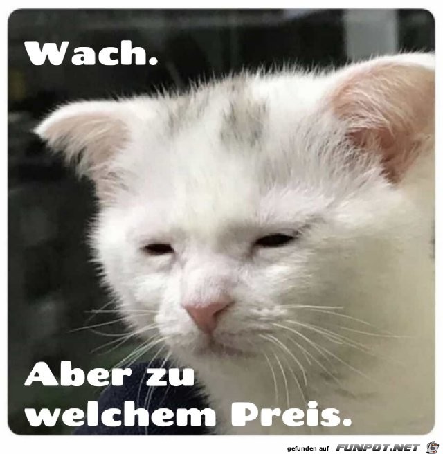 Wach ist sie schon