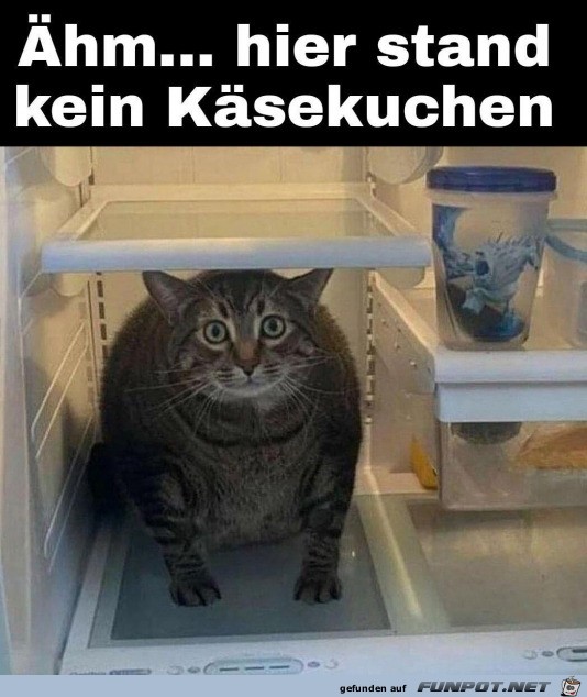 Da war kein Ksekuchen