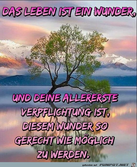 Das Leben ist ein Wunder