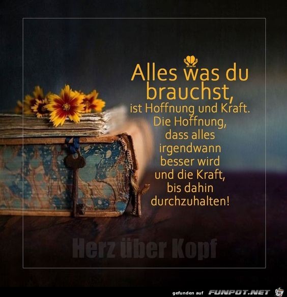 Alles was du brauchst