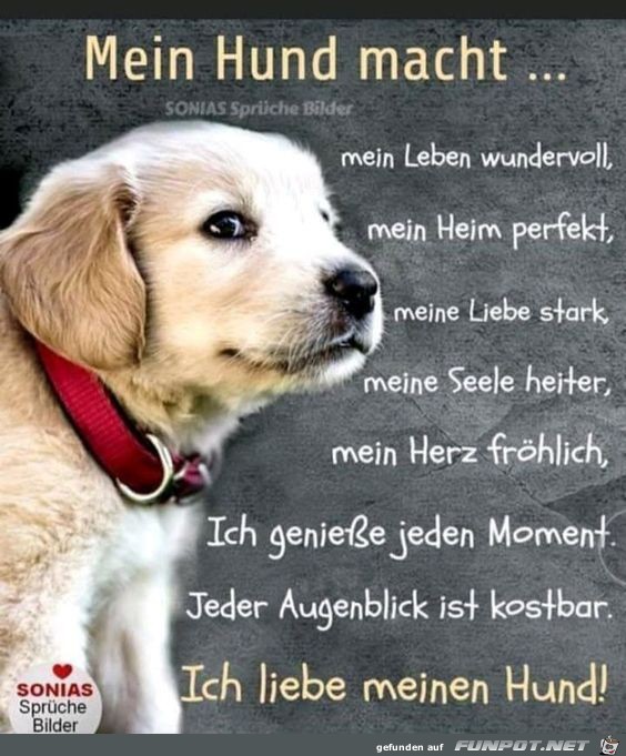 Mein Hund macht mein Leben wunderbar