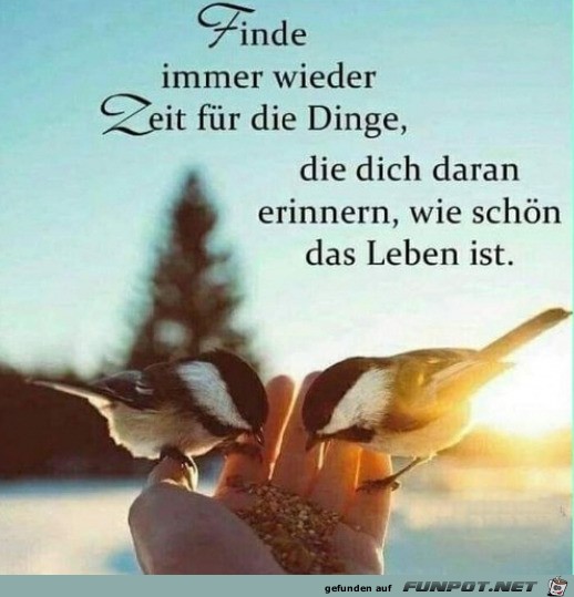 Das Leben ist schn