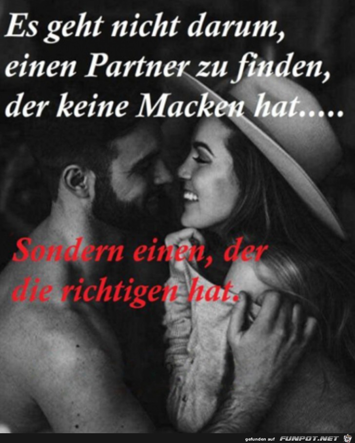 Der richtige Partner