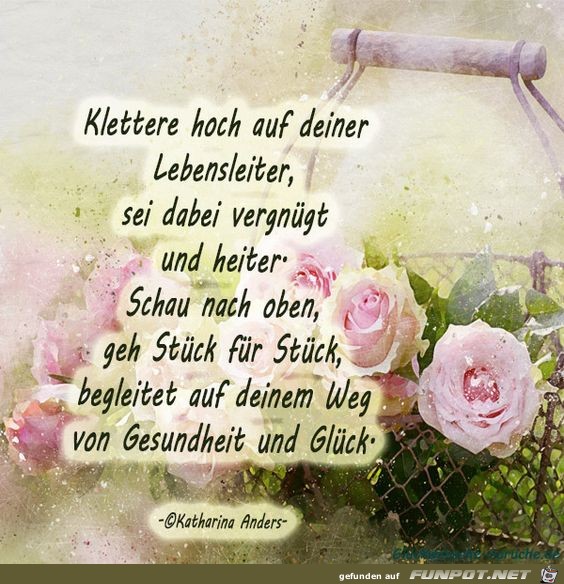 Klettere hoch auf deine Lebensleiter