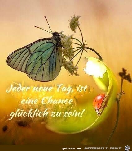 Jeder neue Tag