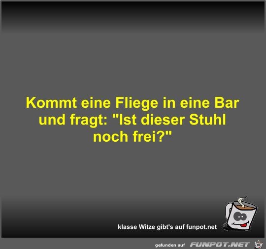 Kommt eine Fliege in eine Bar und fragt