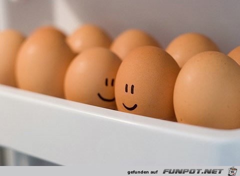 Lustige Eier-Bilder