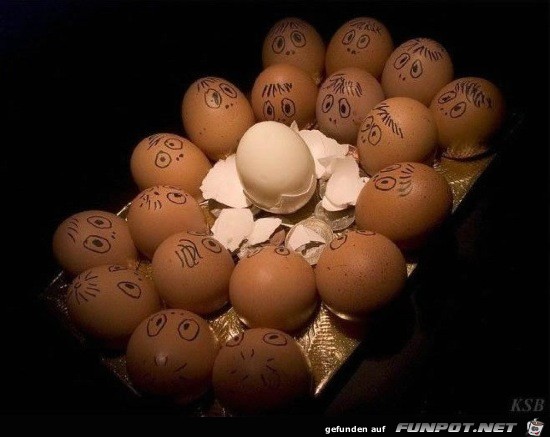 Lustige Eier-Bilder