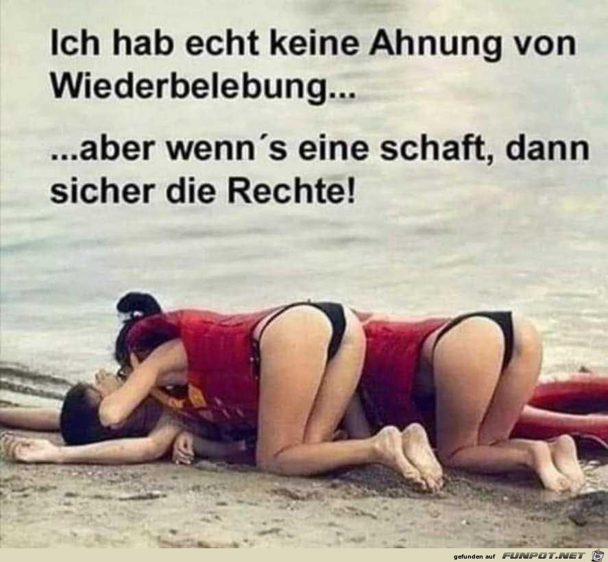 Die Rechte