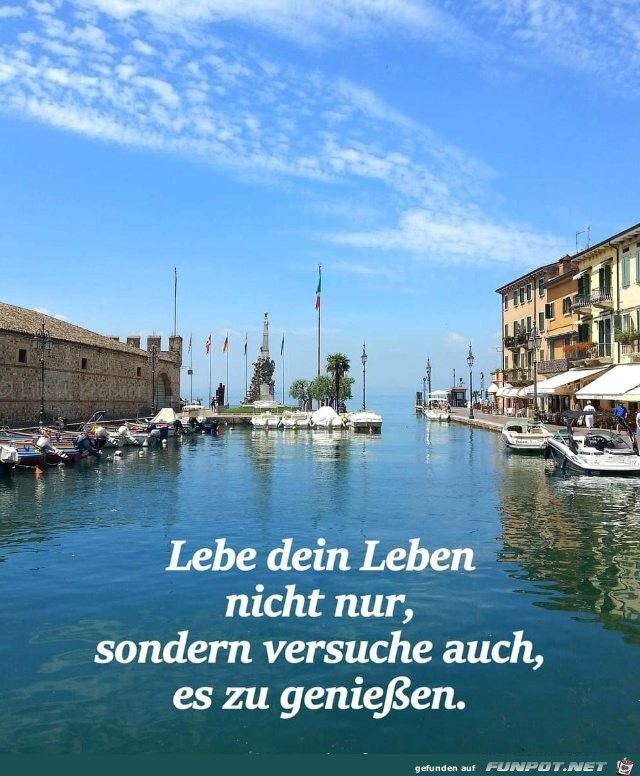 Lebe dein Leben Lebe dein Leben