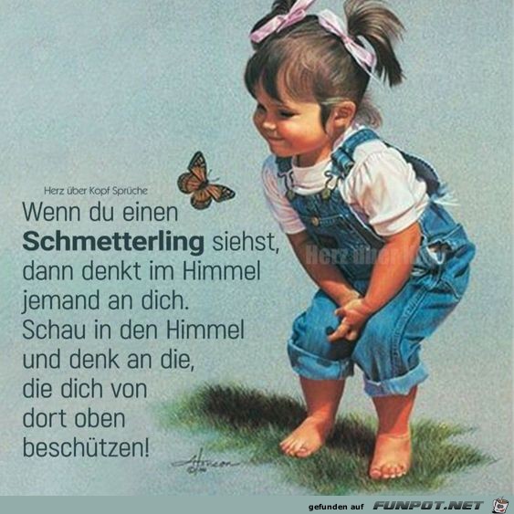 Wenn du einen Schmetterling siehst