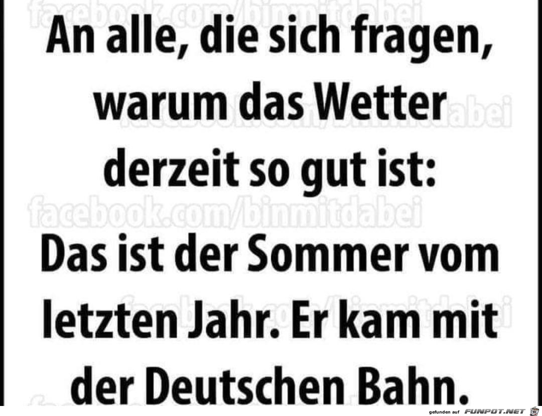 An alle