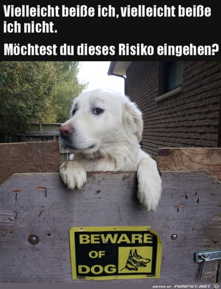 Risiko