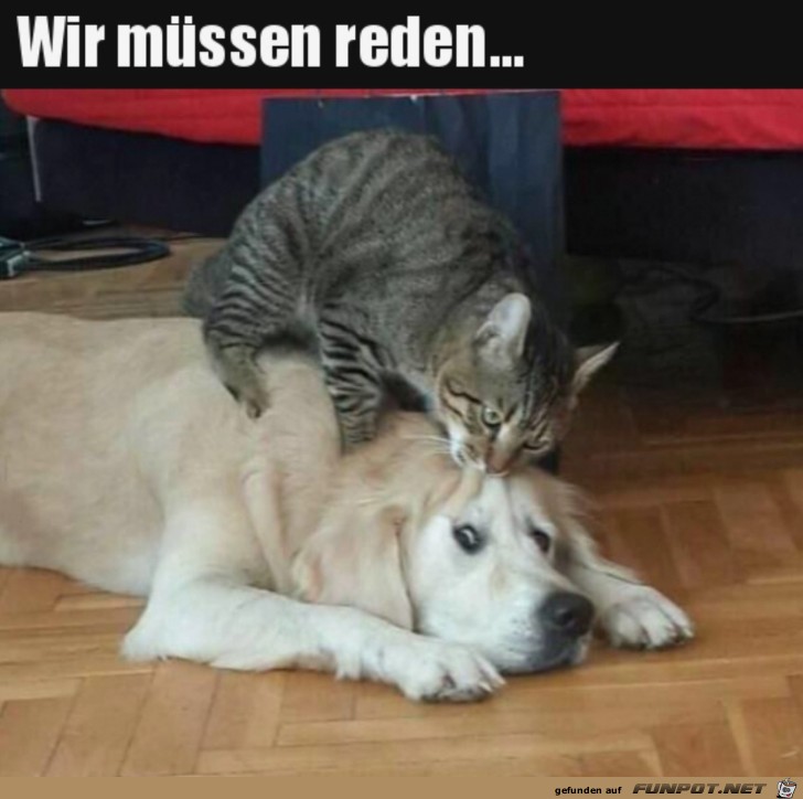 wir mssen reden