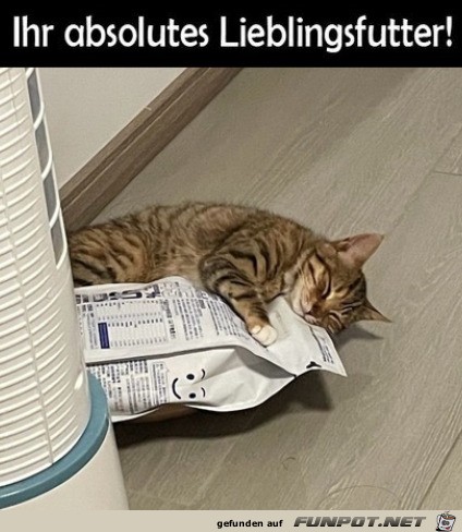 Lieblings-Futter