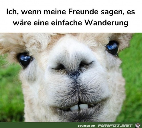 Bitte nicht wandern