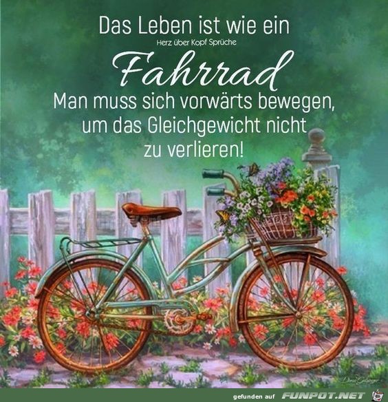 Das Leben ist wie eiin Fahrrad