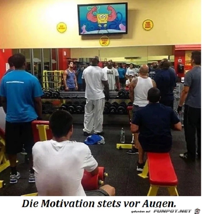 Die Motivation stets vor Augen.