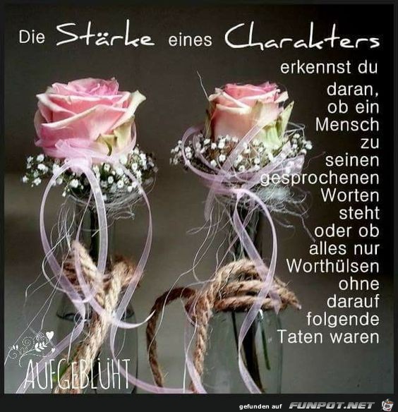 Die Strke eines Carakters