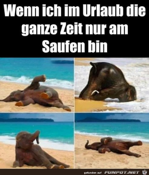 Versoffener Urlaub