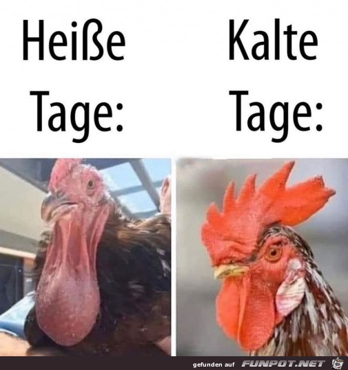 Heie und kalte Tage