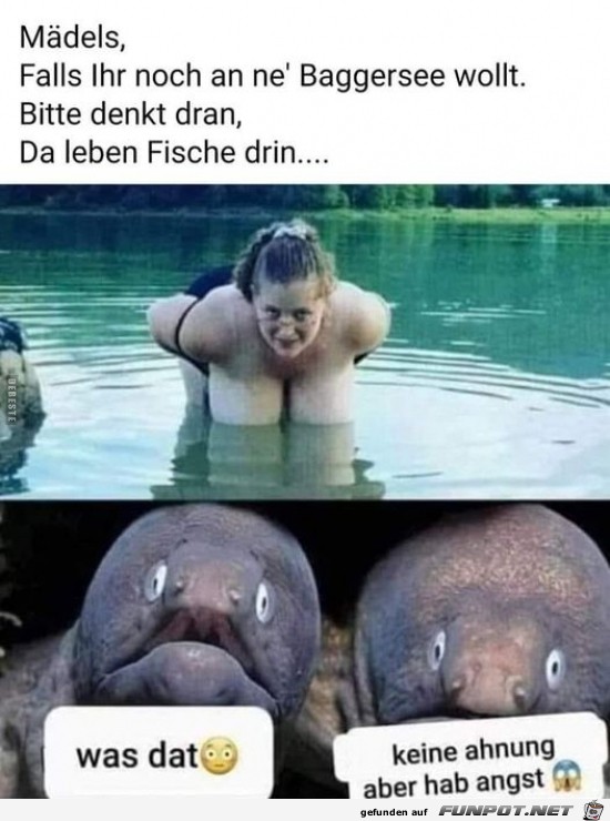 Da leben Fische