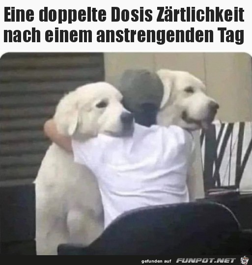 Da kommt man doch gerne heim