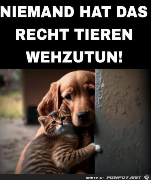 So ist es