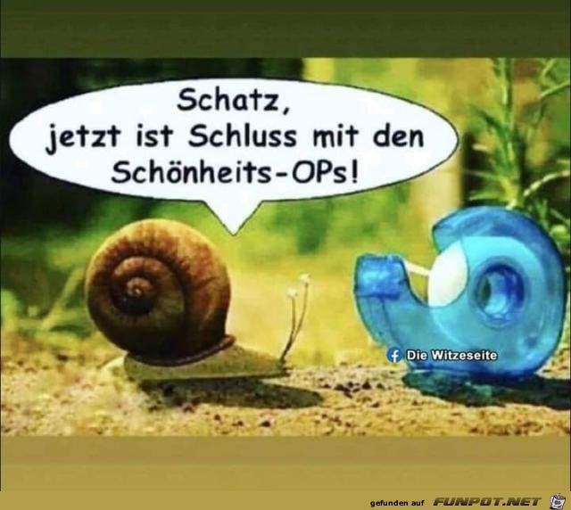 Schatz