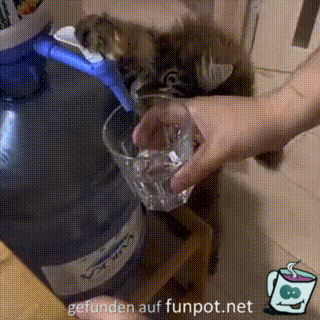 Wasser bitte