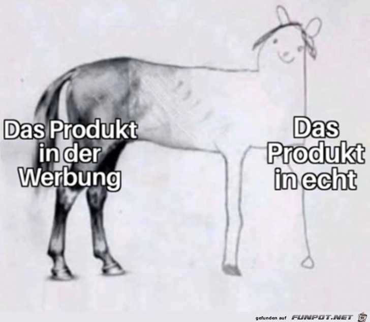 Das Produkt