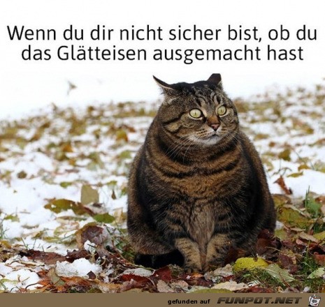 Gltteisen nicht ausgemacht