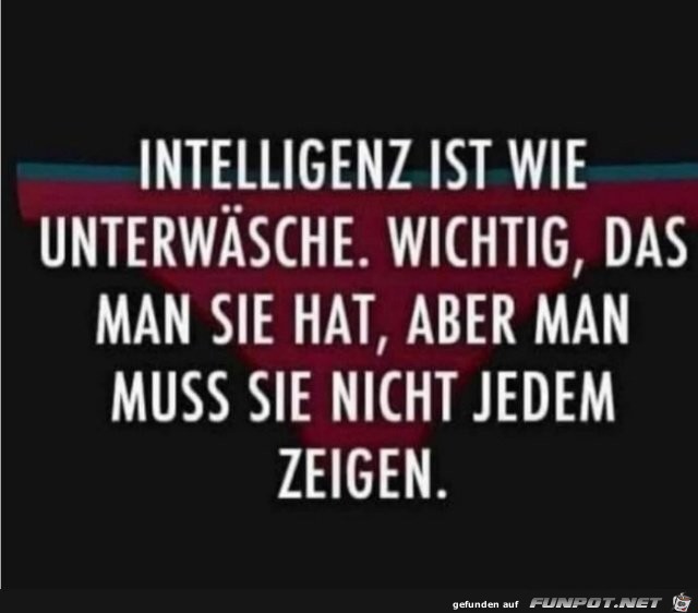 Intelligenz