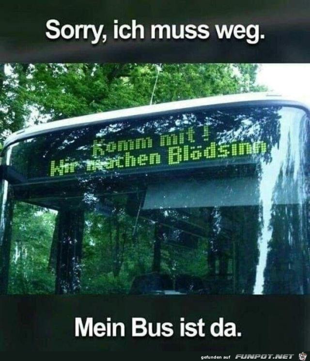 Mein Bus ist da