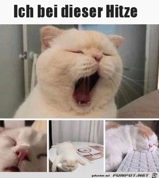 Ich bei dieser Hitze