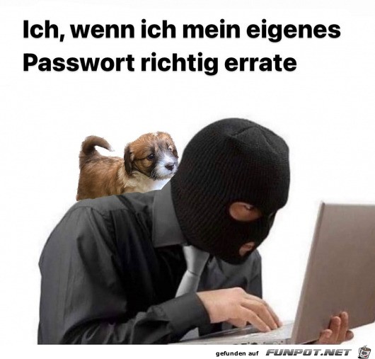 Passwort erraten