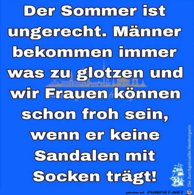 Der Sommer Der Sommer