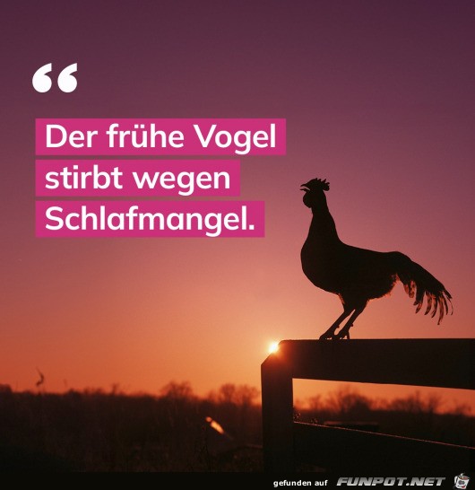 Der frhe Vogel