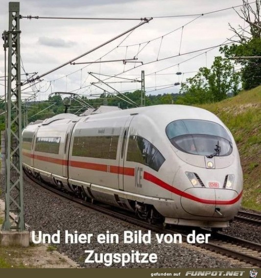 witzige Bilder aus verschiedenen Blogs