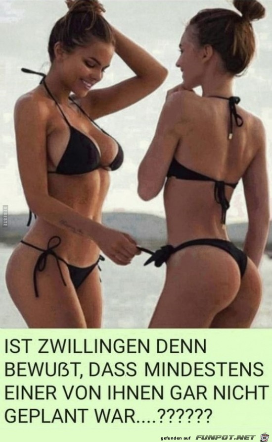 Zwillinge